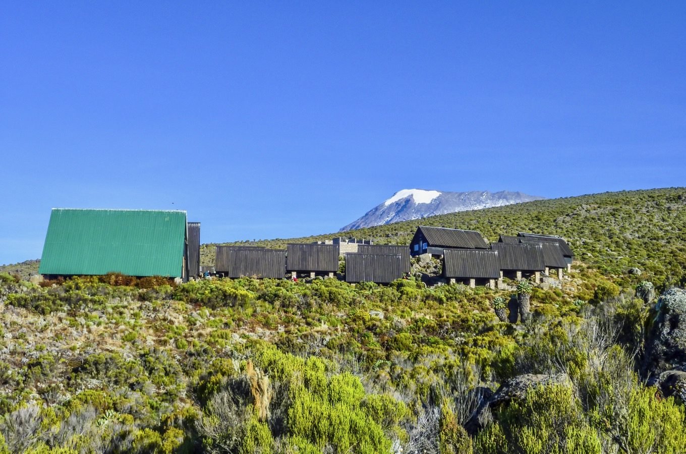Day 4: From Horombo huts to Kibo huts